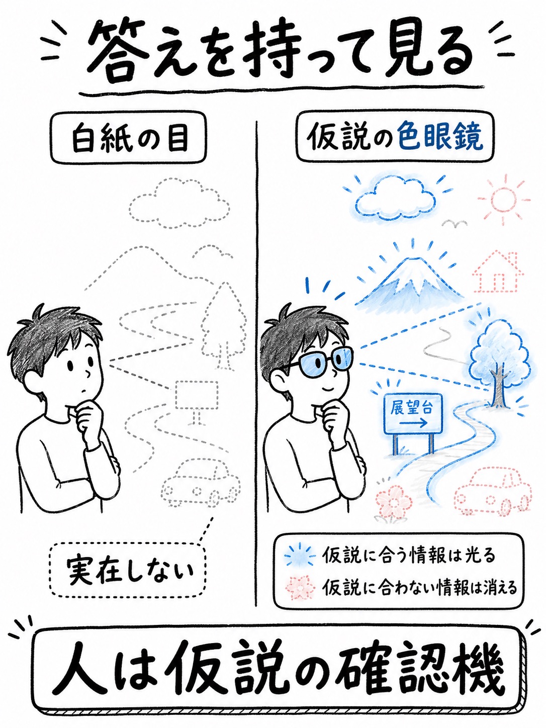 確証バイアスの図解