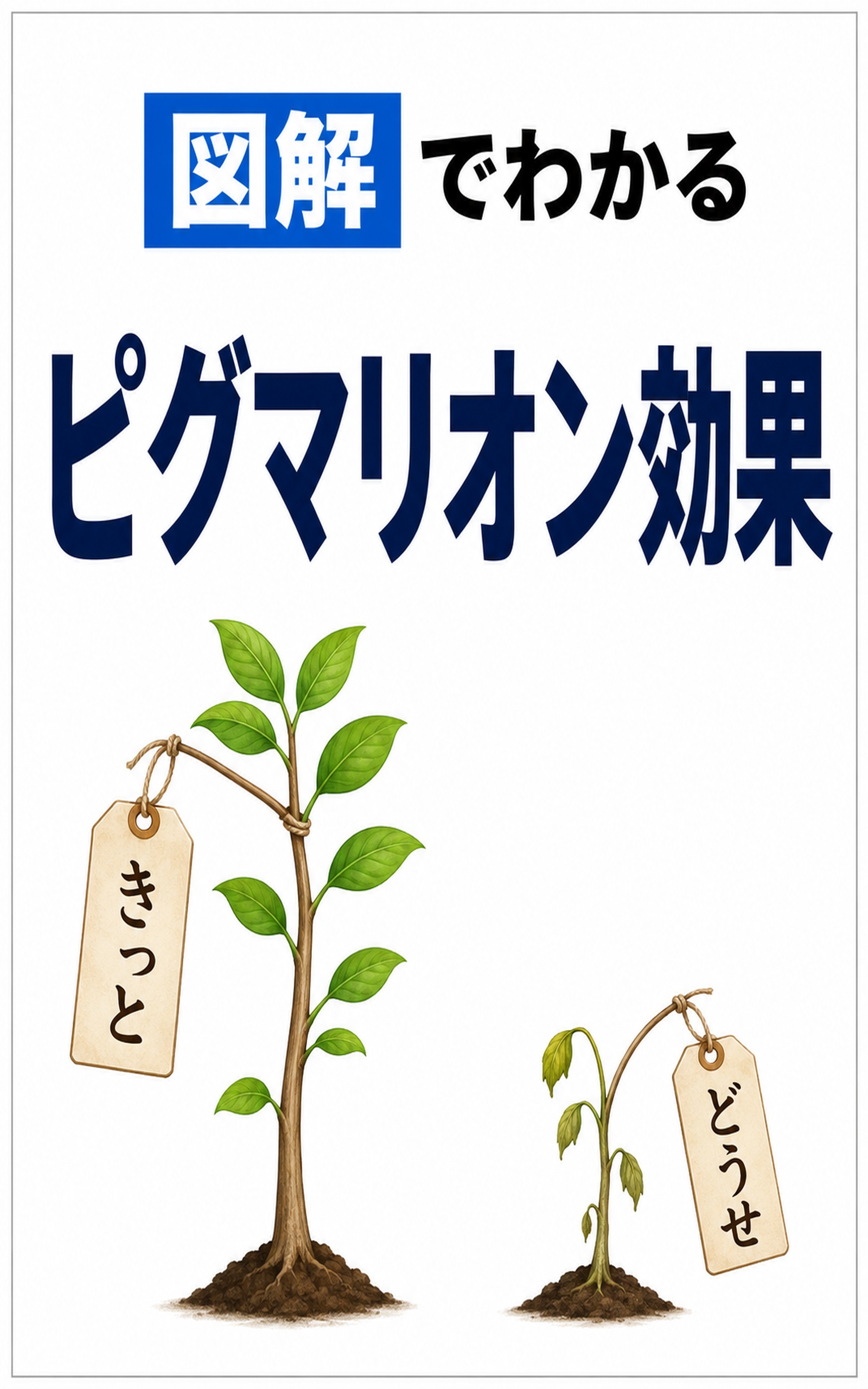 図解でわかるピグマリオン効果——期待は、人を本当に変えるの表紙
